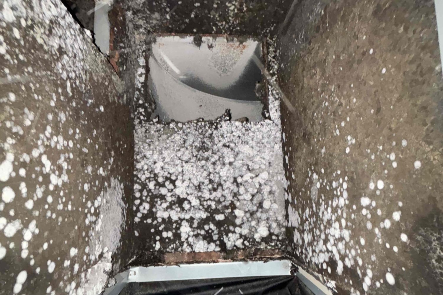Mold growth discovered inside a home's supply duct during an EscoCool inspection