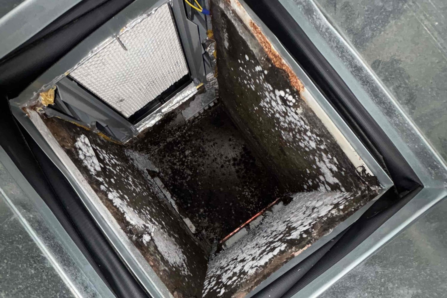 Heavy mold colonies covering interior duct walls found during an EscoCool inspection